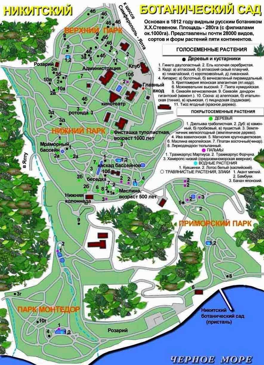 План никитского ботанического сада в крыму