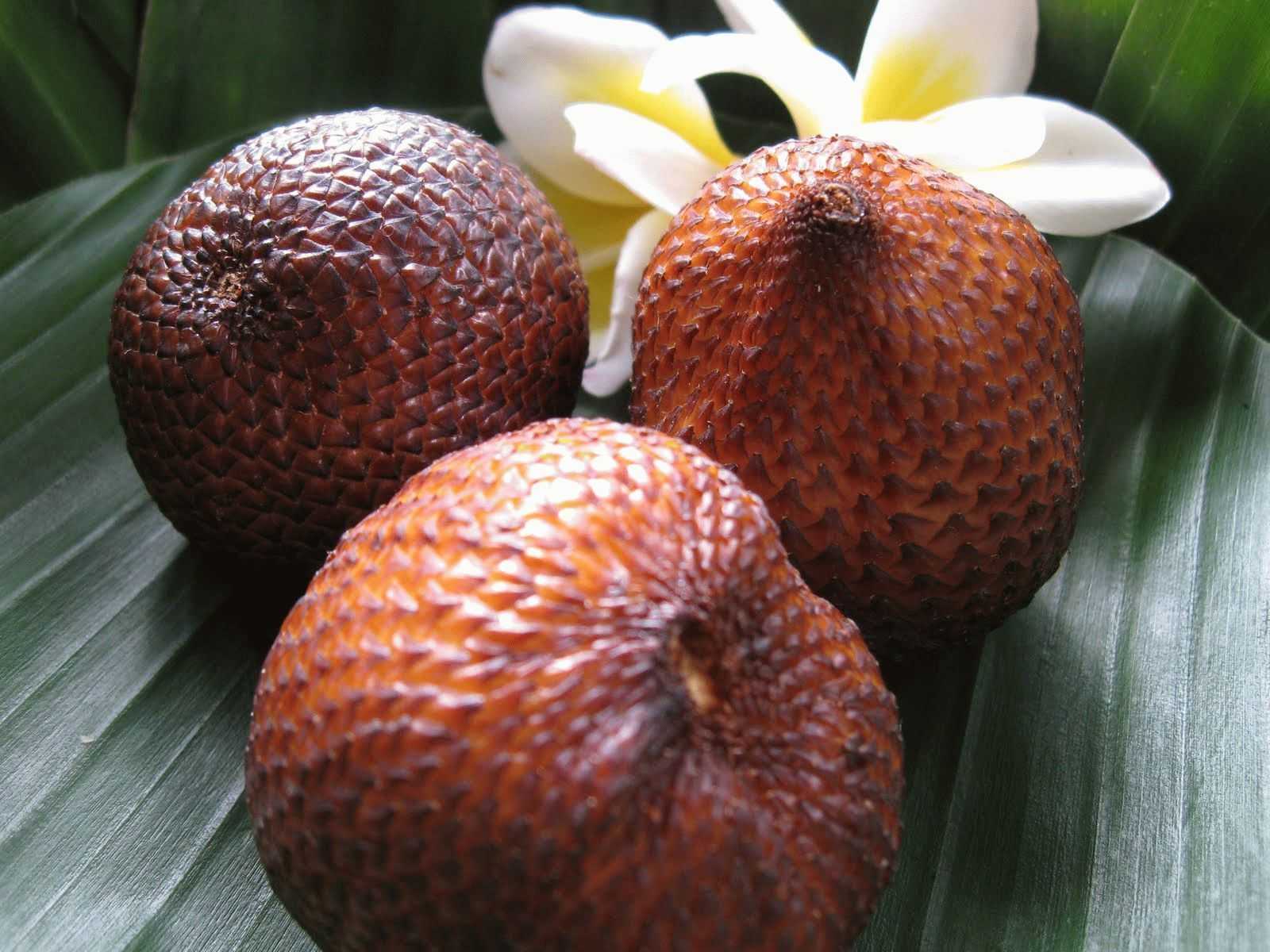 Фото тайских фруктов с описанием: таиланд – фруктовый рай для всех!