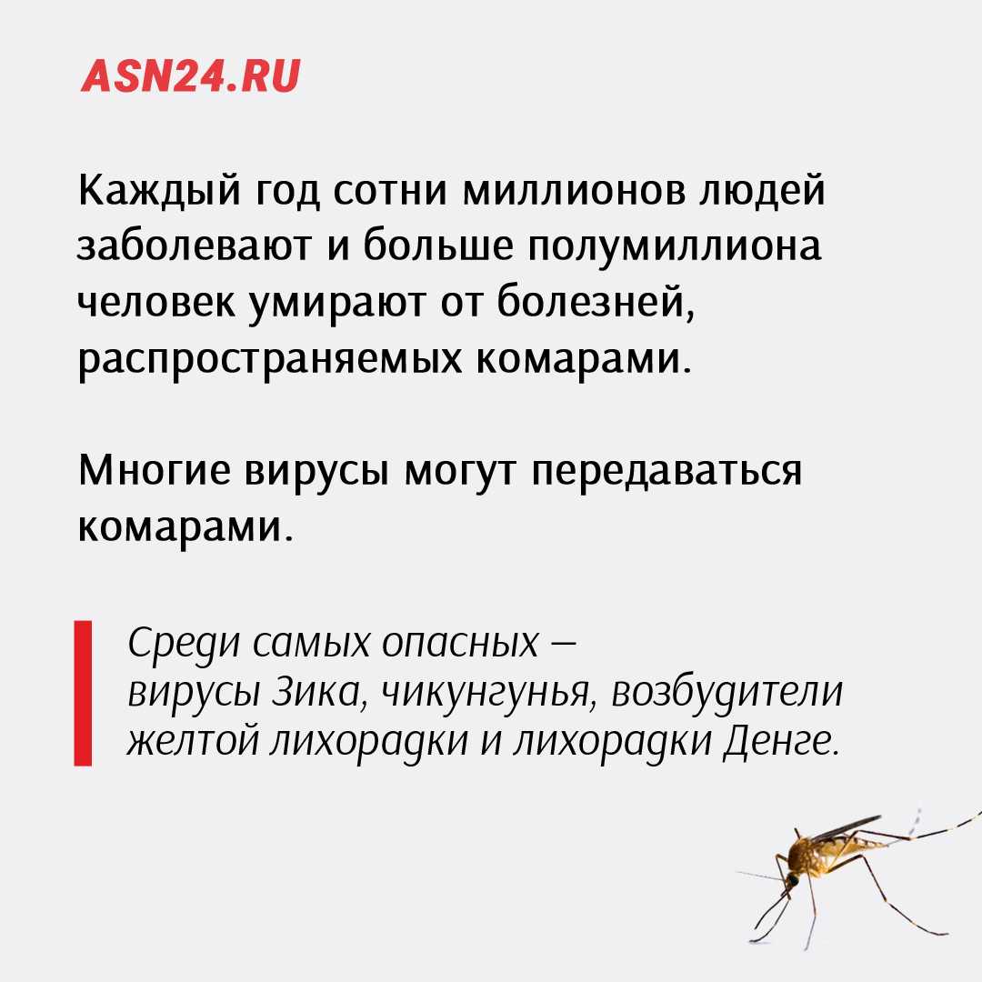 Комары переносчики болезней