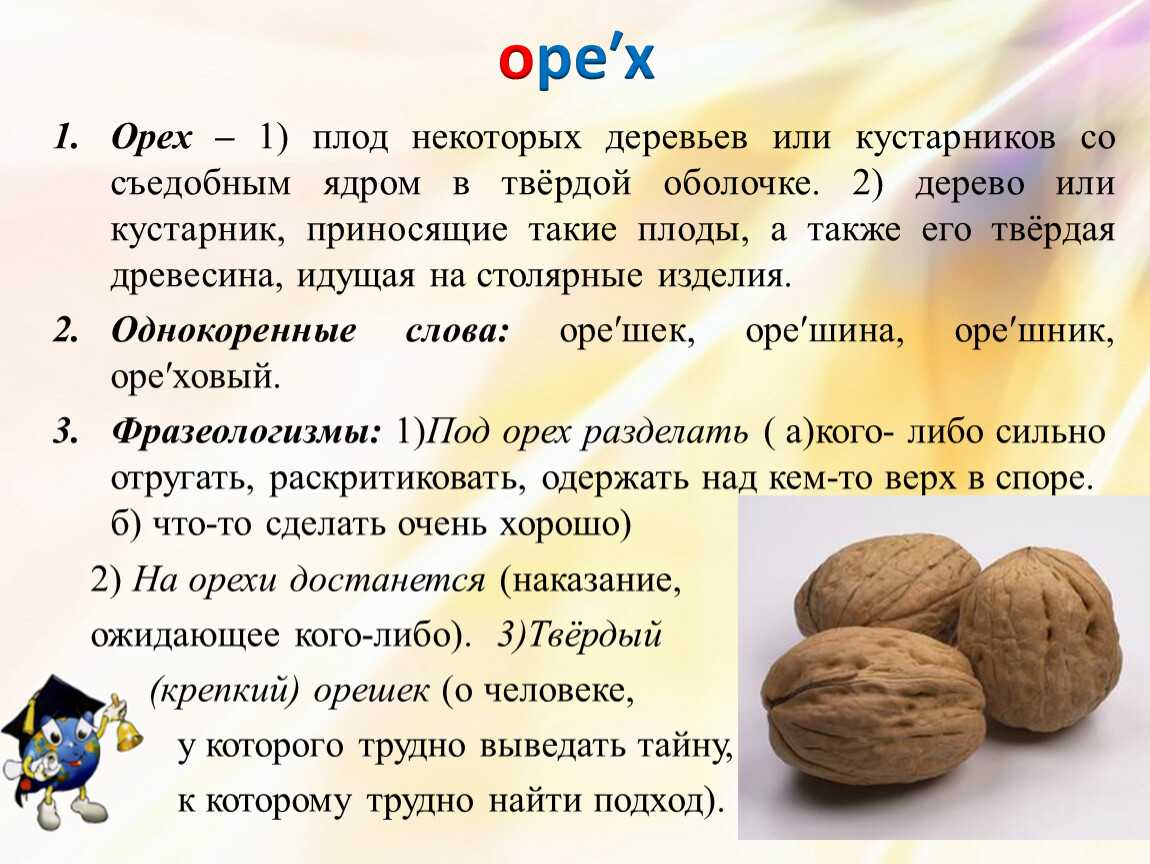 Орехи по цвету какие. Грецкий орех «Садко». Грецкий орех сорт идеал. Орехи с описанием. Характеристика орехоплодных.