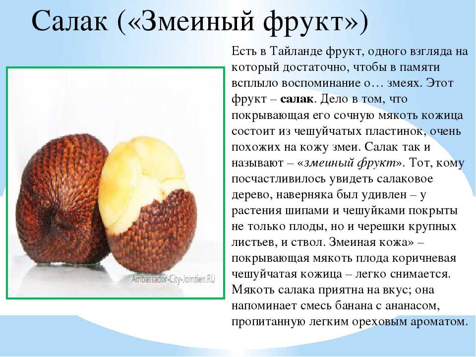 Салак – один из вкуснейших экзотических фруктов, его стоит попробовать Это недорогое и полезное лакомство, которое высоко ценят многие туристы