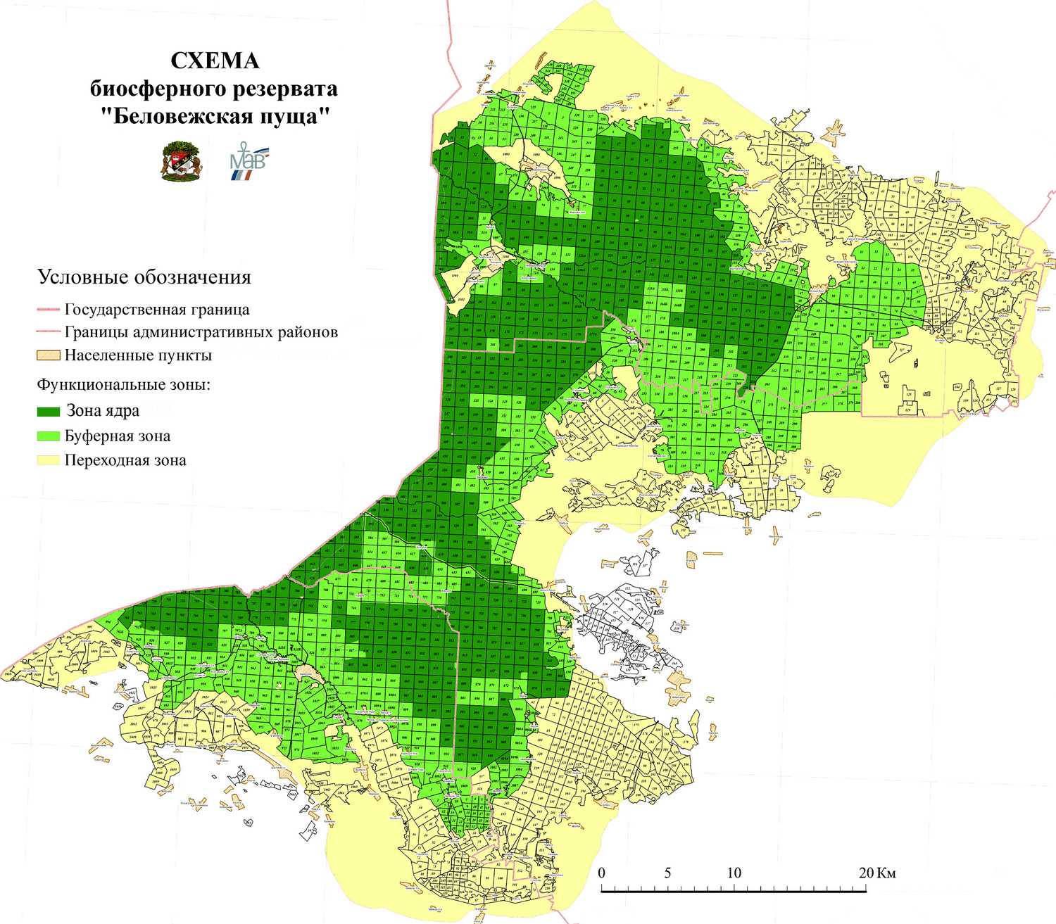 Карта схема беловежской пущи