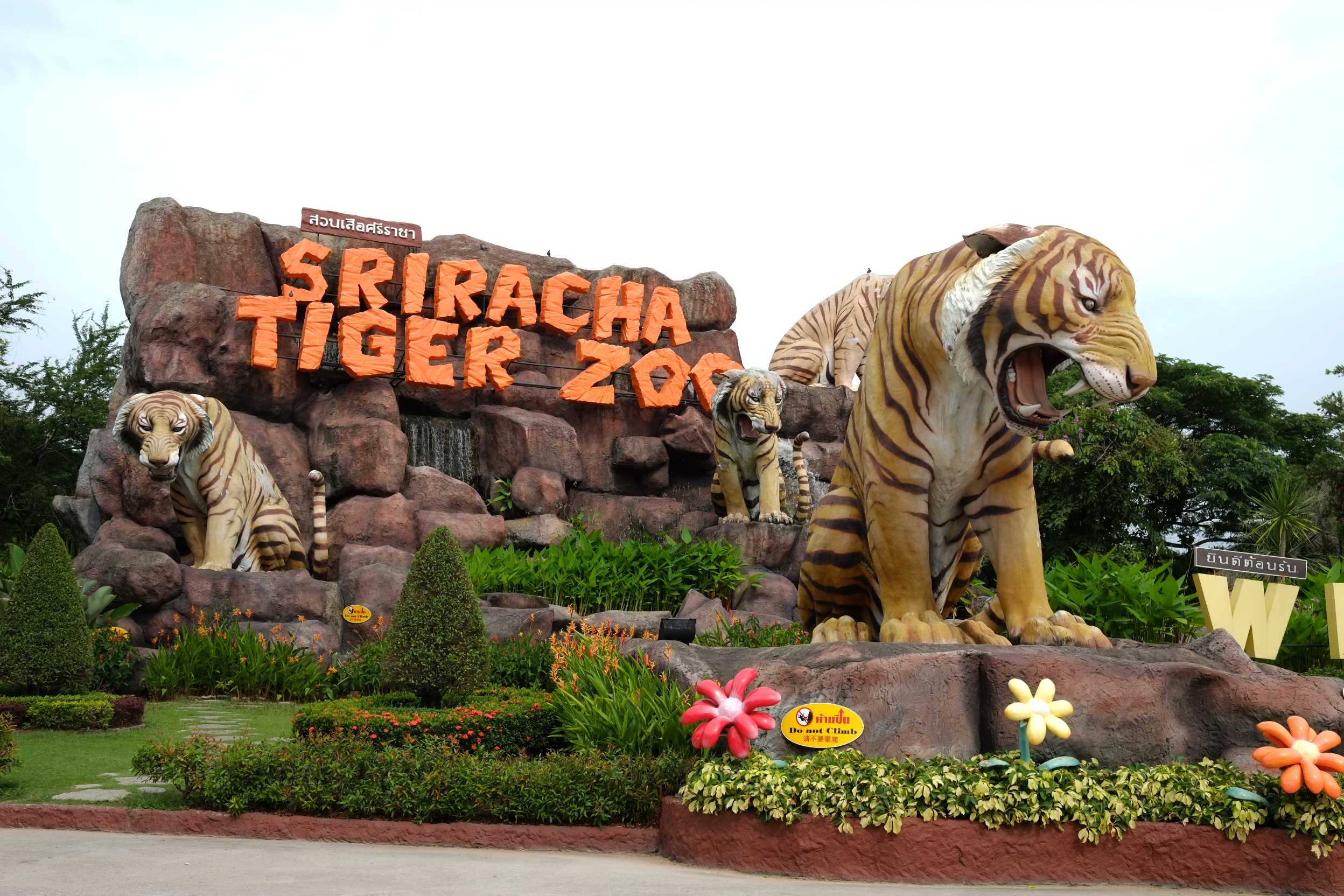 Zoo post. Сирача зоопарк Паттайя. Тигриный зоопарк в Паттайе. Sriracha Tiger Zoo Паттайя. Тигровый зоопарк Сирача Чонбури.