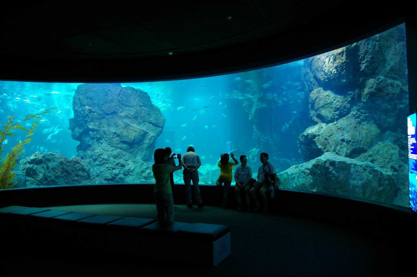 Sea life bangkok ocean world - википедия