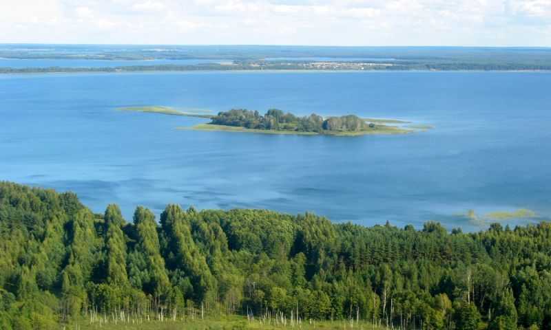 Нарочанский парк презентация