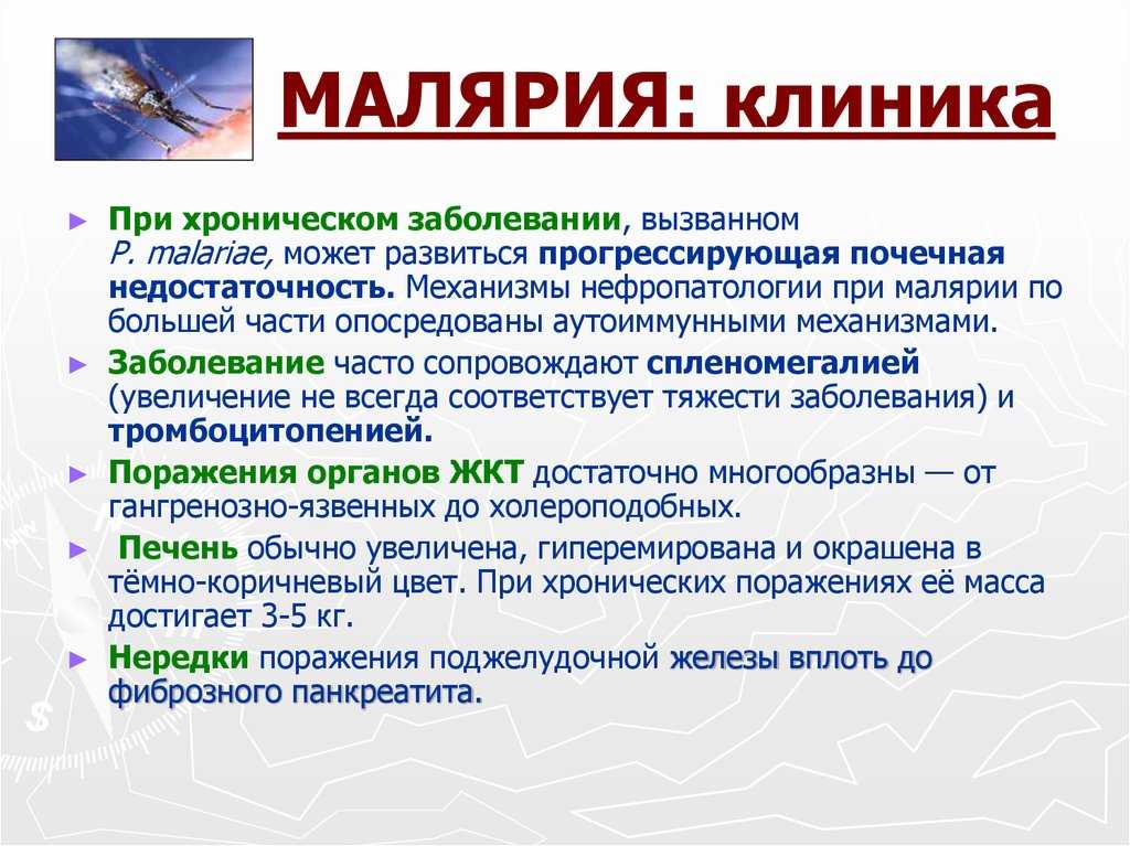 Профилактика малярии презентация