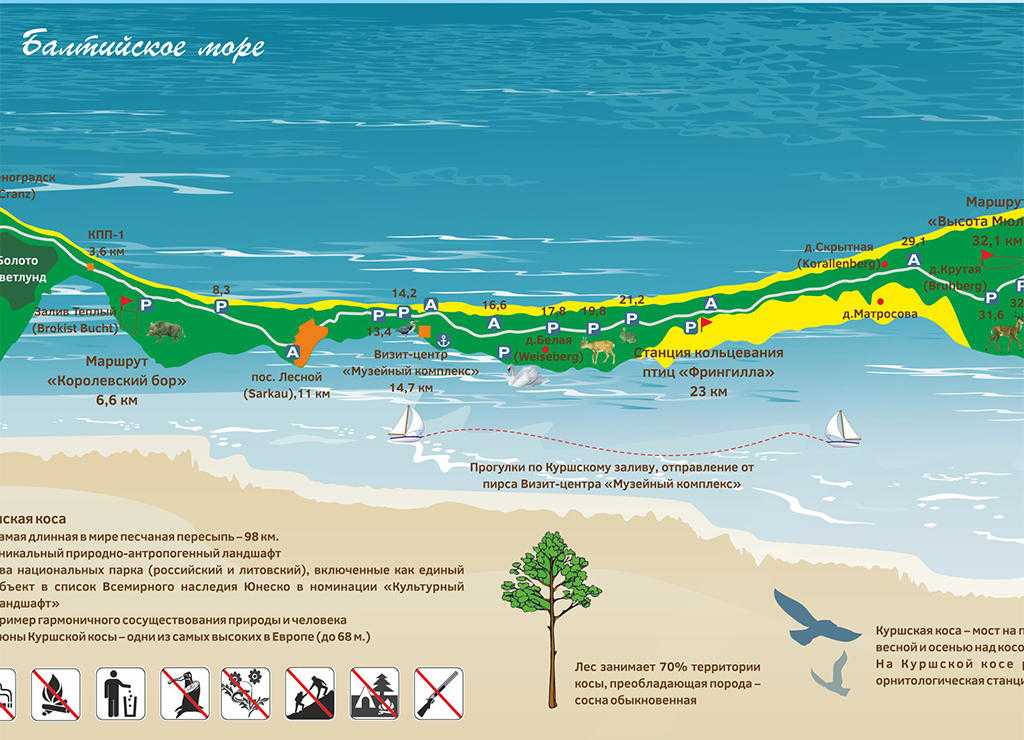 Карта куршской косы с достопримечательностями и расстояние