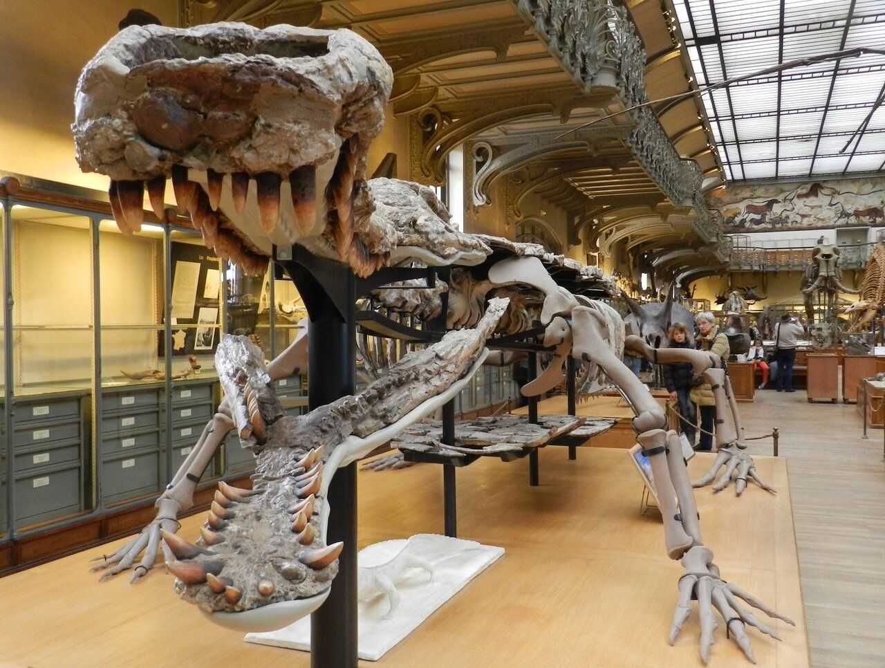 Палеонтологический музей динозавры
