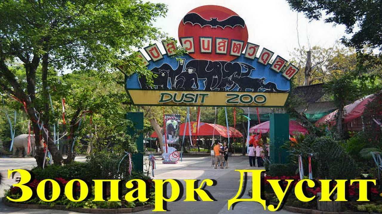 Бангкок для детей. зоопарк дусит и парк люмпини.