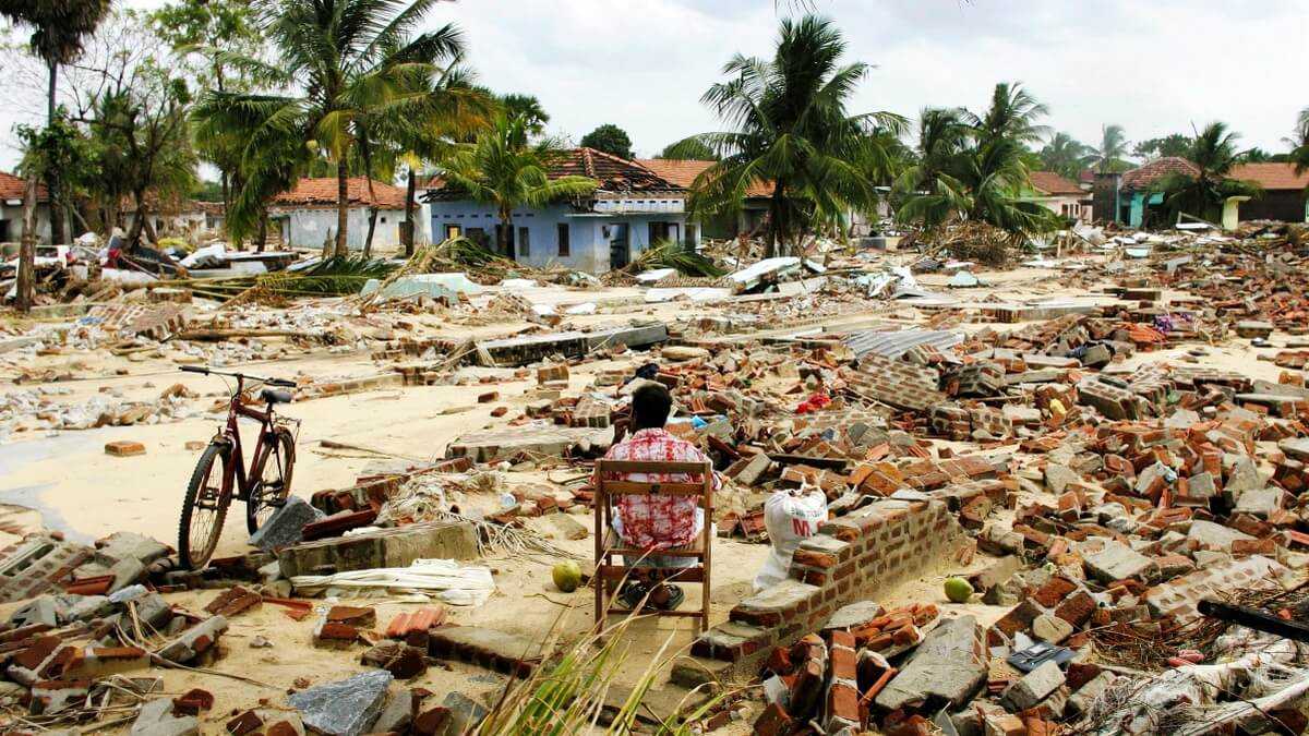 погибшие цунами таиланд