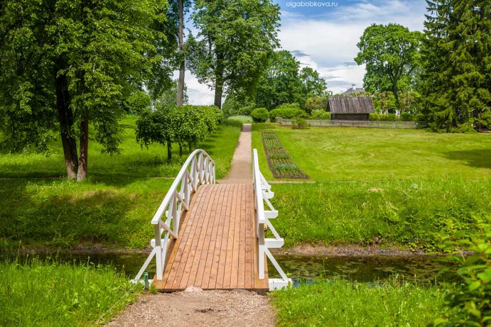 Село михайловское картинки