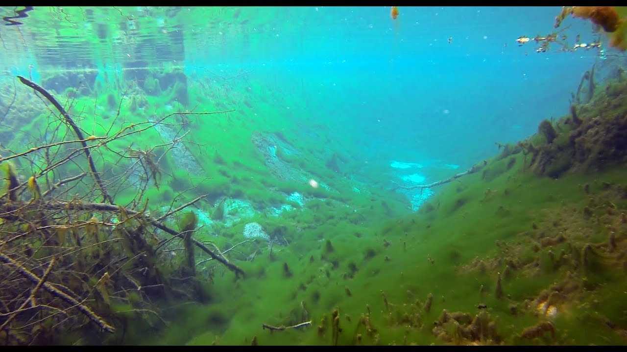 Озеро светлояр фото под водой