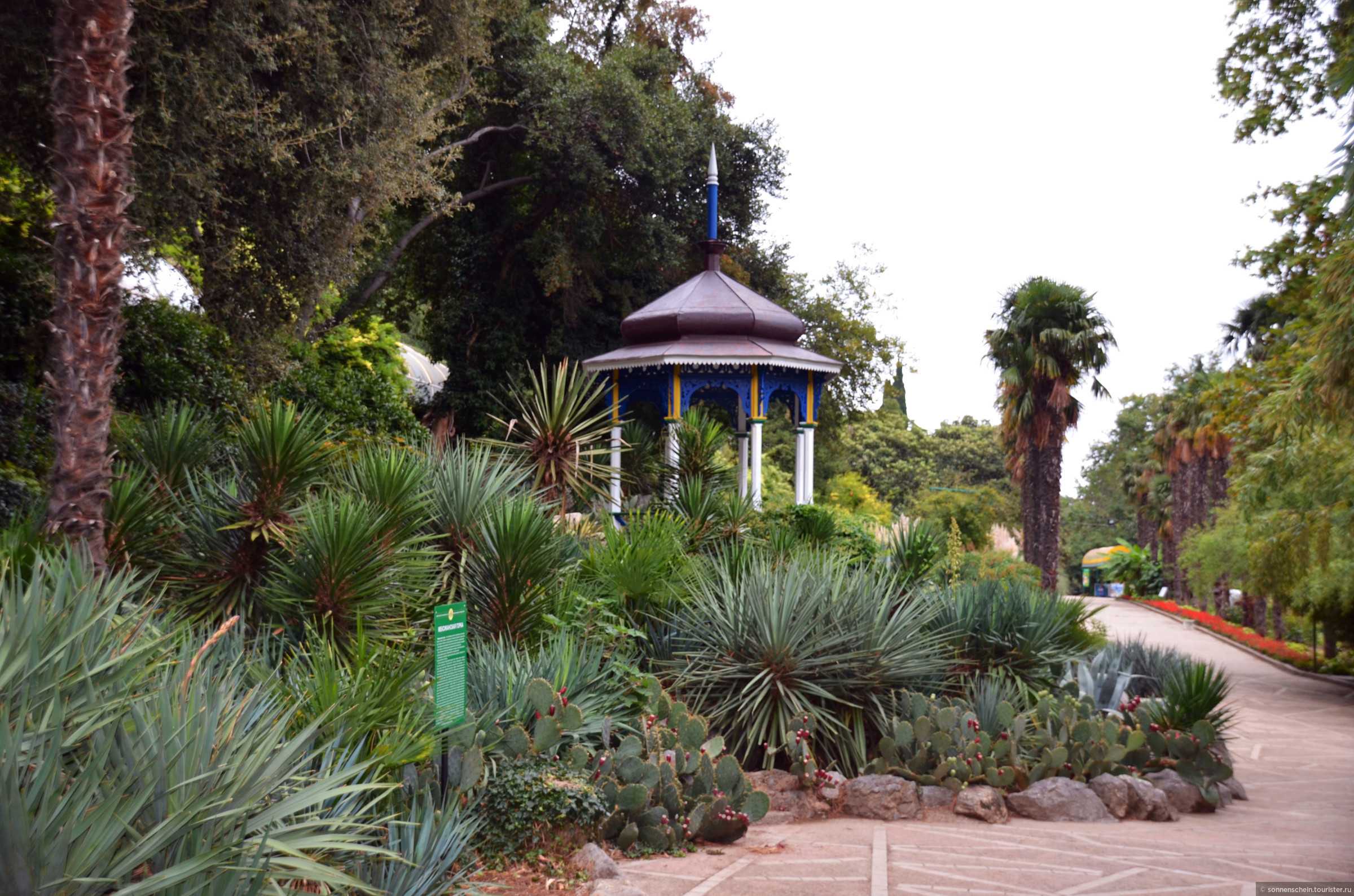 приморский парк никитского ботанического сада