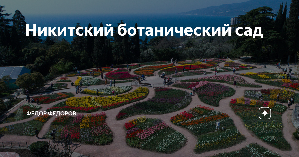 Никитский ботанический сад в крыму карта