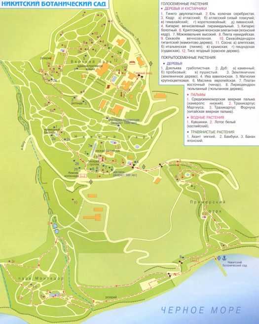 Карта никитского ботанического сада в крыму