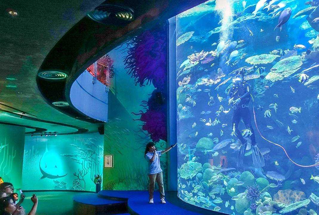 Бангкокский аквариум (океанариум)