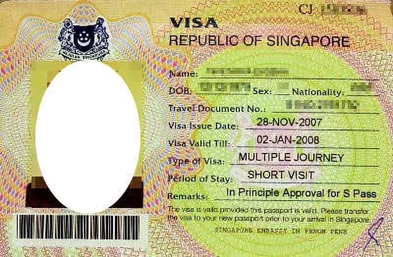Нужна ли виза в сингапур 2024. Сингапур виза. Сингапурская виза. Сингапурская виза для россиян. Сингапурская транзитная виза для россиян.