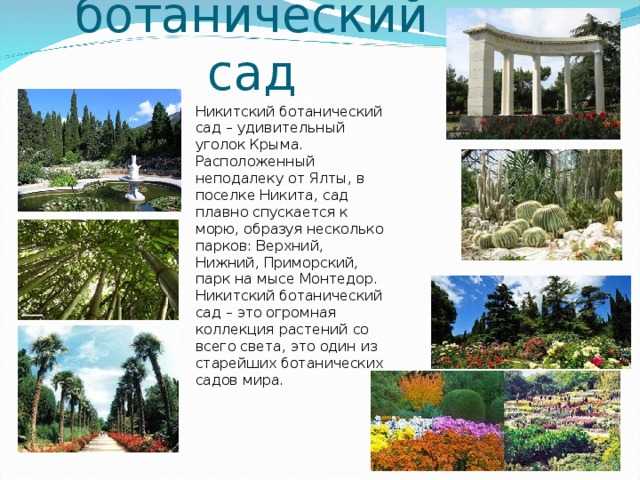 Никитский ботанический сад в крыму карта