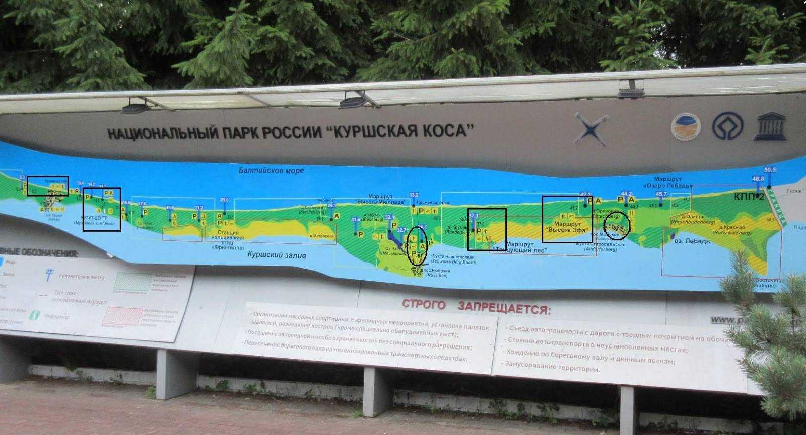 Куршская коса на карте Калининградской области